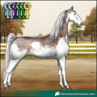 Horse Color:White Spotted Liver Chestnut Mushroom Splash 
