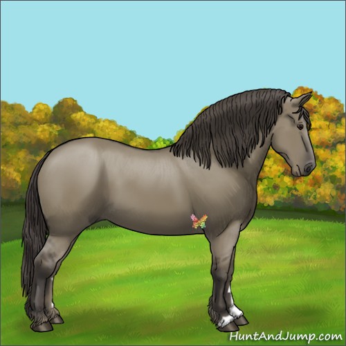 Horse Color:Smoky Grullo 