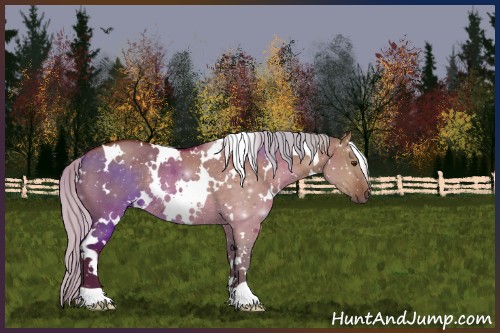 Horse Color:White Spotted Silver Bay Dun Rabicano 