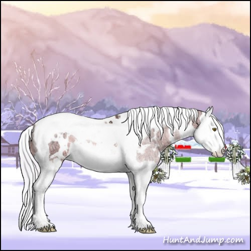 Horse Color:Watercolor White Spotted Silver Bay Ice Pearl Splash Tobiano 