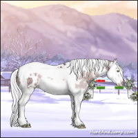 Horse Color:Watercolor White Spotted Silver Bay Ice Pearl Splash Tobiano 