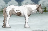 Horse Color:Plaid  Liver Red Dun Ice Tobiano 