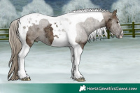 Horse Color:Plaid  Liver Red Dun Ice Tobiano 