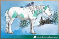Horse Color:Watercolor Silver Black Chinchilla Splash Tobiano