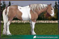 Horse Color:Silver Black Sabino Tobiano