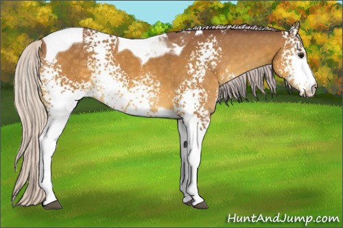 Horse Color:White Spotted Chocolate Silver Buckskin Tobiano 