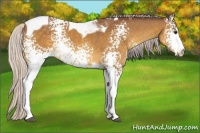 Horse Color:White Spotted Chocolate Silver Buckskin Tobiano 