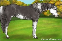 Horse Color:Smoky Black Sabino 