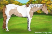 Horse Color:Chestnut Tobiano Snowcap 