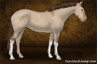 Horse Color:Liver Red Dun 