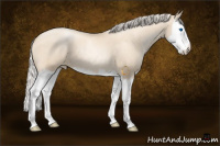 Horse Color:Gold Cream Champagne Pearl Sabino Splash