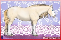 Horse Color:Buckskin Roan Pearl Splash 