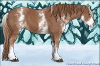 Horse Color:White Spotted Chestnut Sabino 