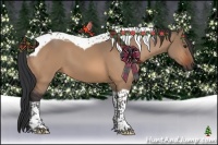 Horse Color:Bay Dun Tobiano 