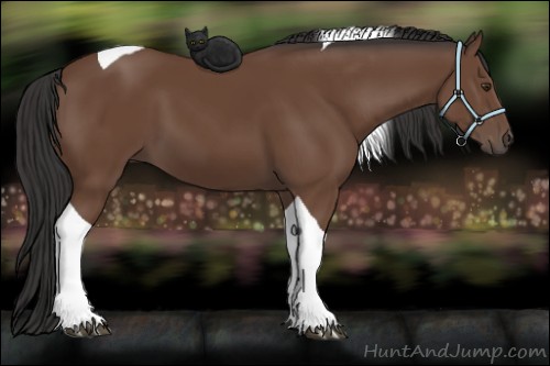 Horse Color:Bay Tobiano 