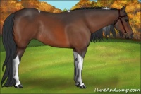 Horse Color:Bay Tobiano Rabicano 