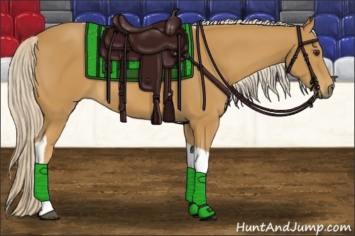 Horse Color:Palomino Tobiano 
