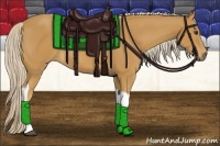 Horse Color:Palomino Tobiano 