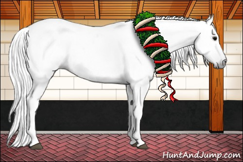 Horse Color:Gray Black Appaloosa 