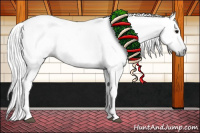 Horse Color:Gray Black Appaloosa