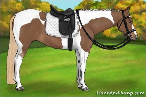 Horse Color:Chestnut Tobiano