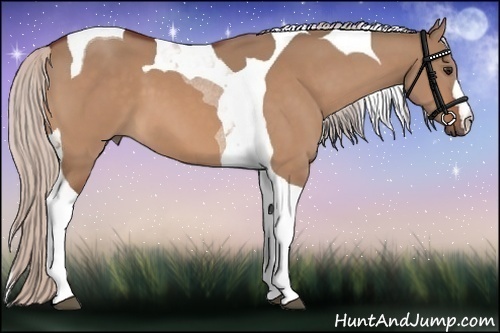 Horse Color:Silver Bay Dun Tobiano 