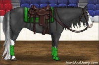Horse Color:Black Splash