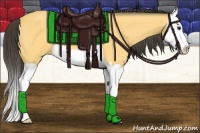 Horse Color:Buckskin Splash 