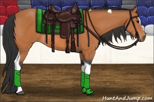 Horse Color:Bay Sabino Tobiano 