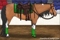 Horse Color:Bay Sabino Tobiano