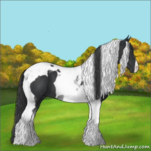 Horse Color:Black Tobiano 