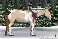 Horse Color:Red Dun Splash Tobiano