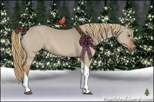 Horse Color:Red Dun Tobiano 