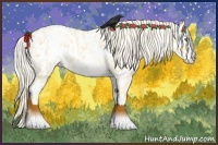Horse Color:White Spotted Gold Cream Champagne Roan Appaloosa 