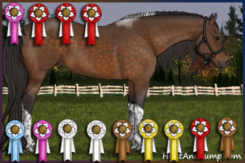 Horse Color:Buckskin Tobiano 