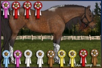 Horse Color:Buckskin Tobiano 