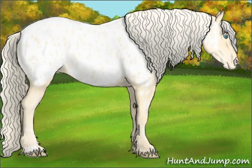 Horse Color:Palomino Pearl Sabino Appaloosa 