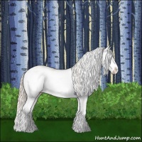 Horse Color:Palomino Pearl Sabino Splash