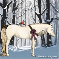 Horse Color:Buckskin Pearl Sabino