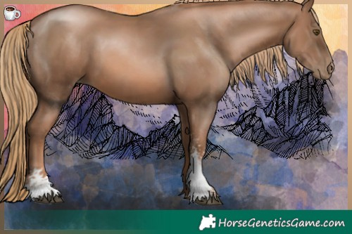 Horse Color:Liver Chestnut Pearl Sabino 
