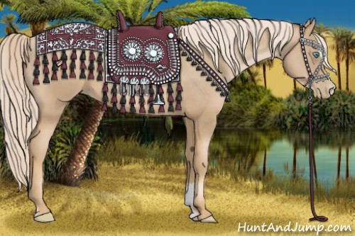 Horse Color:Chocolate Palomino Pearl Sabino