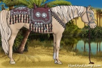 Horse Color:Chocolate Palomino Pearl Sabino 