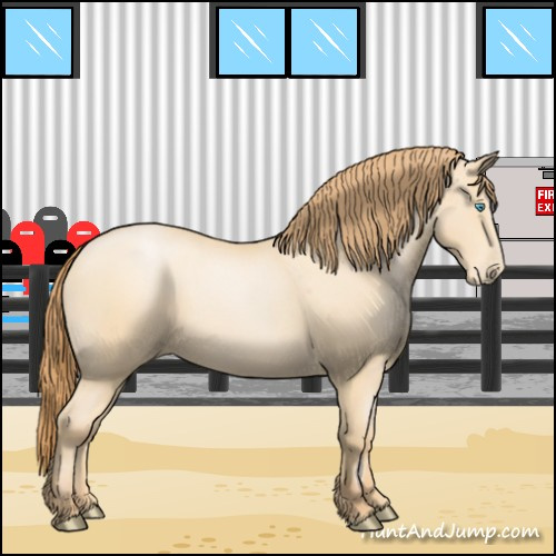 Horse Color:Buckskin Pearl Sabino 