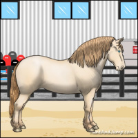 Horse Color:Buckskin Pearl Sabino 