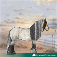 Horse Color:Buckskin Roan Mushroom Tobiano Rabicano