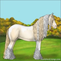 Horse Color:Buckskin Pearl Sabino Tobiano