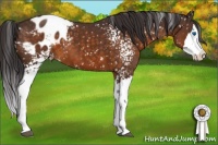 Horse Color:White Spotted Buckskin Splash Blanket 