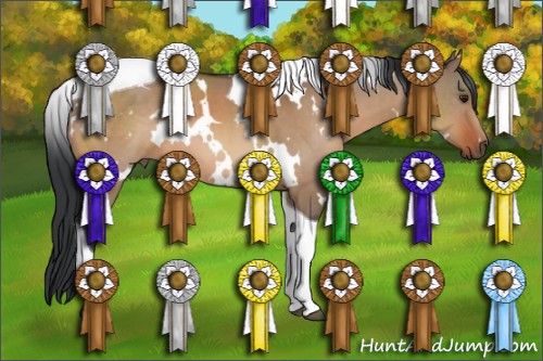 Horse Color:White Spotted Brown Dun Tobiano 