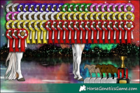 Horse Color:White Spotted Brown Pearl Dun Splash Tobiano