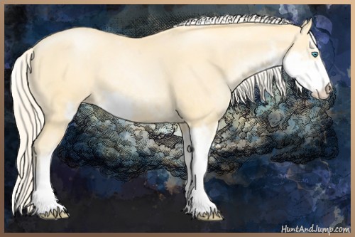 Horse Color:Palomino Pearl Sabino